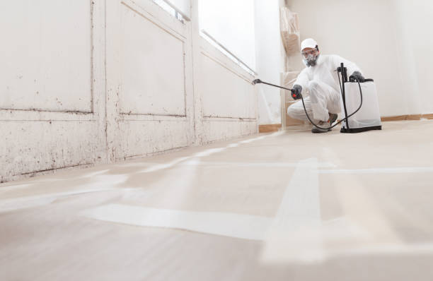 24/7 Emergency Attic Mold Removal experts in Petersburg, VA