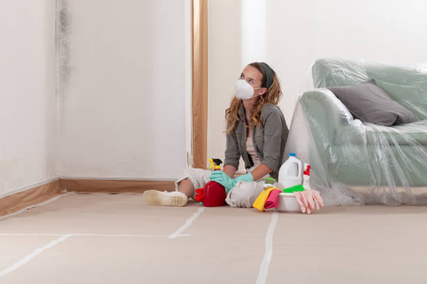 Reliable Mold Remediation contractor in Petersburg, VA by Cheap Mold Removal